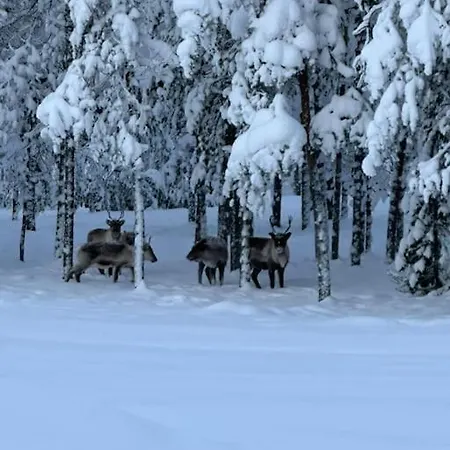 Cozy House Close To Santavillage *