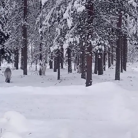 Апартаменты Cozy House Close To Santavillage