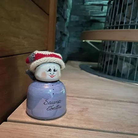 Апартаменты Cozy House Close To Santavillage