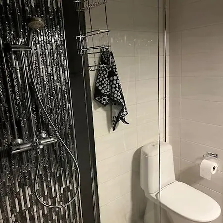 Apartment Cozy House Close To Santavillage Rovaniemi