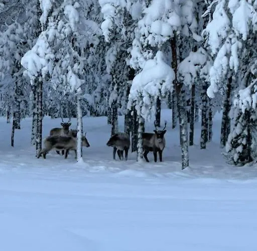 Cozy House Close To Santavillage *