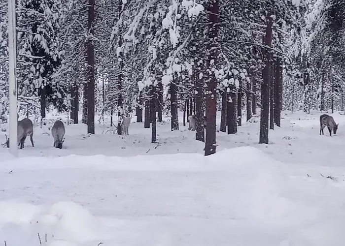 Apartamento Cozy House Close To Santavillage