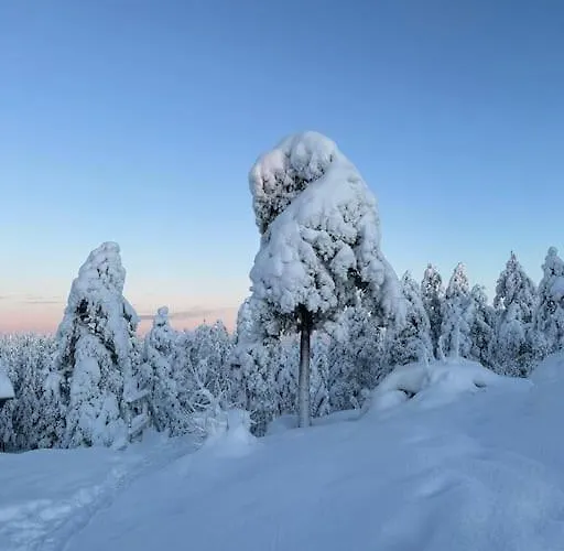 Apartamento Cozy House Close To Santavillage Rovaniemi