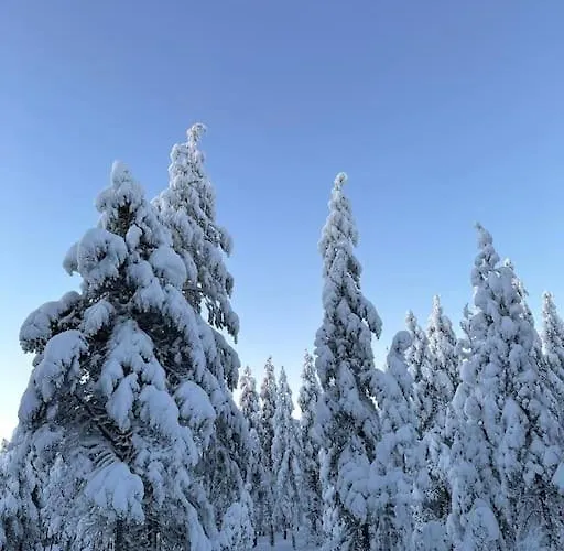 Cozy House Close To Santavillage *